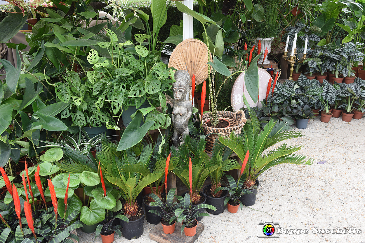 VBS_3421 - Floreal 2023 - Vivere con le piante.jpg